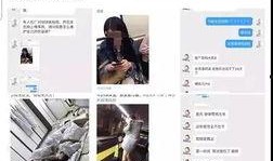 营销号发爆料视频违法吗,法律红线在哪里？